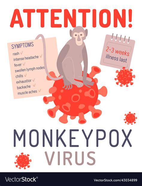 Monkeypox Virus Infographics Landscape Poster Vector Image