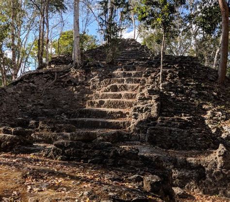 El Mirador – Lost City of the Mayans | Far From Local Travel Reviews and Tips