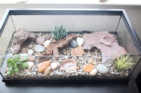 Terrarium Setup For Leopard Gecko