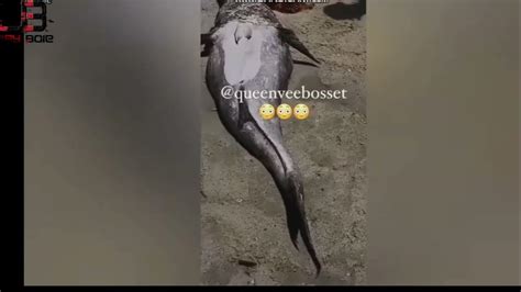 A Mermaid Spotted Live At Ukunda Diani Kenya😳😳 Youtube