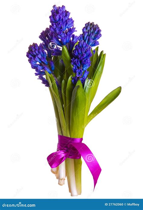 Bouquet Hyacinth stock photo. Image of botanical, green - 27762060