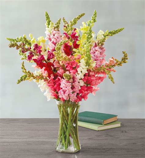 Snapdragon Bouquet