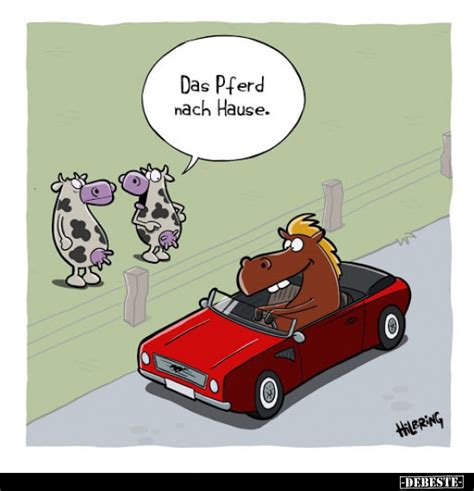 Pferd Comic Lustig Lustige Pferde Bilder Ideen Lustiges Pferd