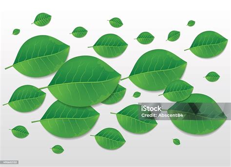 Latar Belakang Daun Hijau Alam Ilustrasi Stok Unduh Gambar Sekarang Daun Hijau 2015 Istock