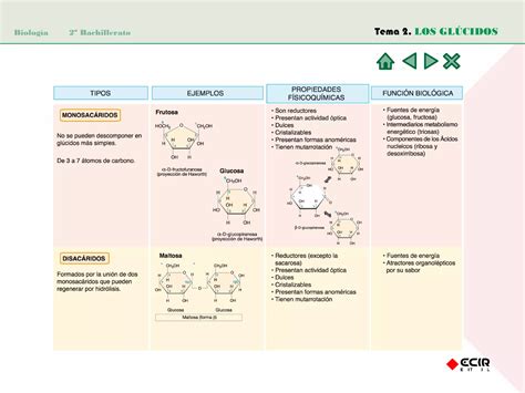 Los Glucidos Ppt Descarga Gratuita