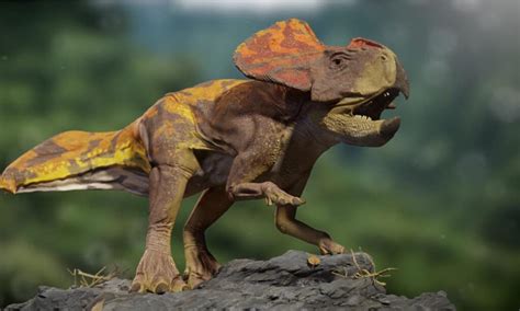 Velociraptor Vs Protoceratops