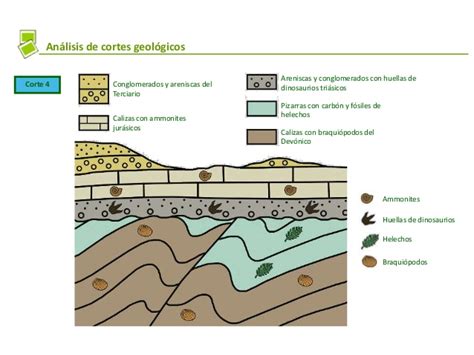 BIOLOGÍA Y GEOLOGÍA 4º OJA INTERPRETACIÓN DE CORTES GEOLÓGICOS