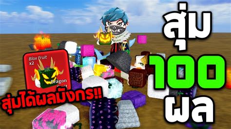 Roblox สุ่ม 100 ผล ได้ผลมังกร Bloxfruits Ep5 Youtube