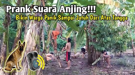 Prank Suara Anjing Bikin Warga Panik Sampai Jatuh Dari Atas Tangga