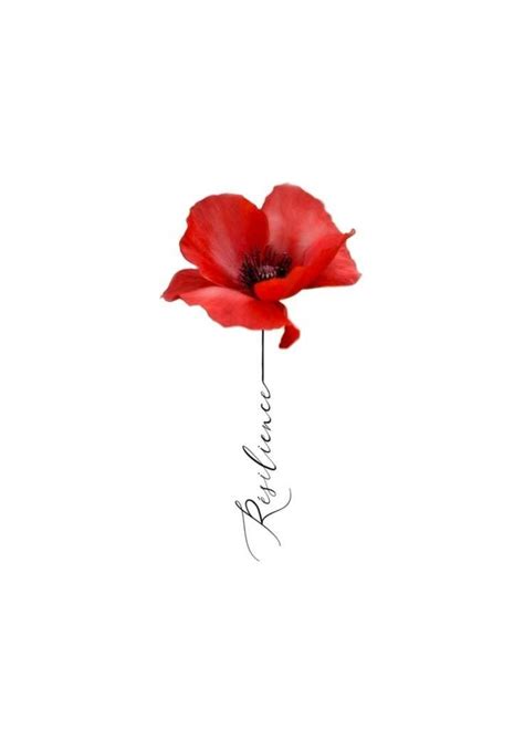 Poppy Flower Tattoo Meanings 30 Design Ideas Artofit