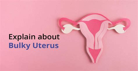 Bulky Uterus Causes Symptoms And Treatment Options Off