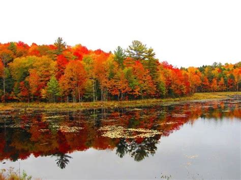 Autumn in Bracebridge Ontario