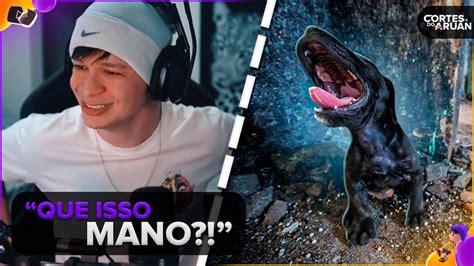 ARUAN REAGE O CACHORRINHO PROVOU SER MELHOR QUE O RAMBINHO