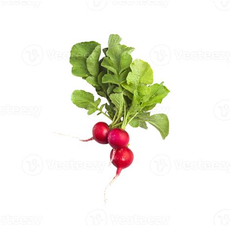 Radish Png Transparent Background 29711613 Png