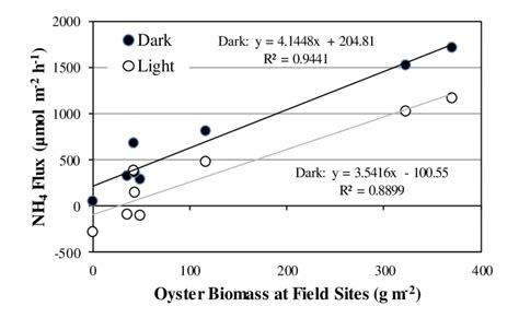 9 Ammonium Nh 4 Flux Under Light And Dark Conditions In Relation