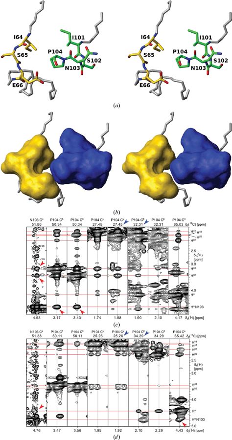 Cistrans Isomerization Of Pro104 A Stick Representation Of All