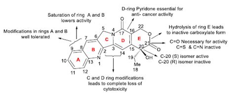 Camptothecin Its Derivatives For Cancer Therapy Biopharma Peg