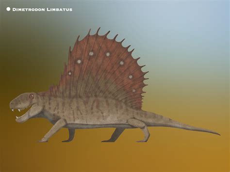 Dimetrodon Limbatus Paleohistoric By Paleohistoric On Deviantart