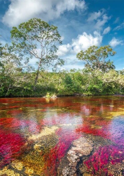 Vamos De Excursi N A Ca O Cristales Y Al R O De Colores