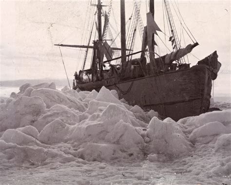 Arctic Research Ship to Freeze in Sea Ice - Churchill Polar Bears