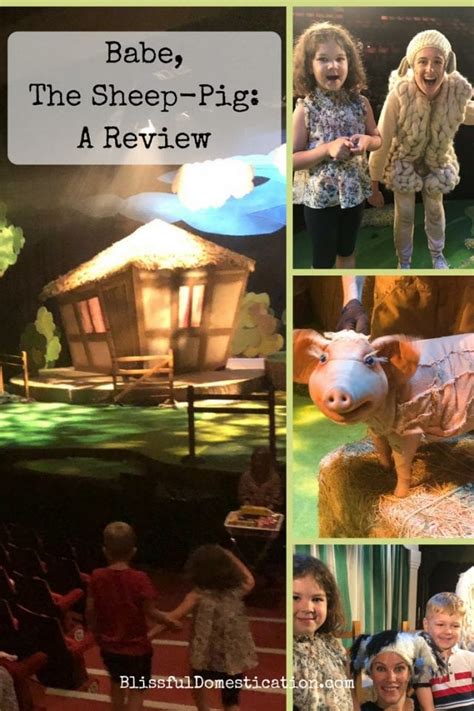 Babe The Sheep Pig A Review Blissful Domestication