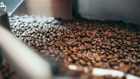 Roasting Time Frame – Green Coffee Co.