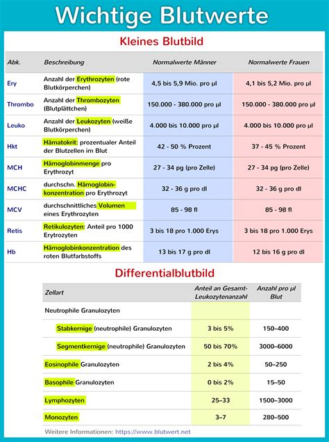 Was Ist Ein Blutwert