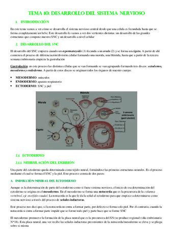 Tema Desarrollo Del Sistema Nervioso Pdf