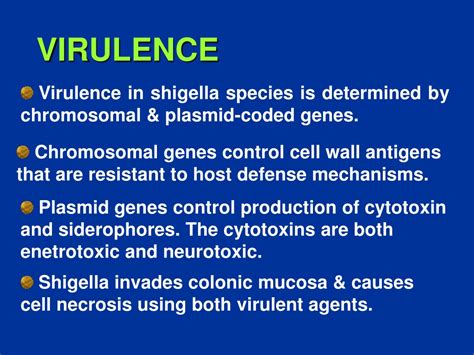 Ppt Shigella Infection Powerpoint Presentation Free Download Id9376841