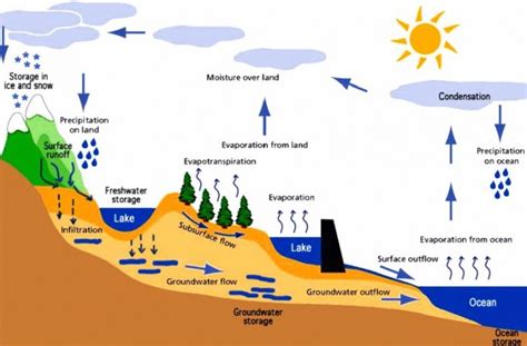 SIKLUS HIDROLOGI : Pengertian, Proses dan Gambar Siklus Air | Salamadian