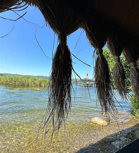 Angelica | Yummy dumpy 😋 | Instagram