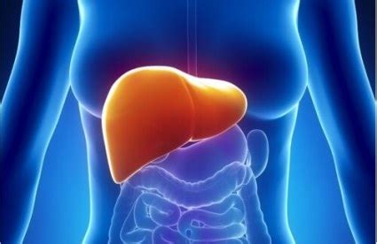 Hepatic steatosis: Symptoms, diet, causes and cures – From Doctor