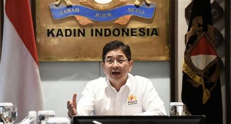 KADIN Indonesia Dukung Pemerintah Cabut Ribuan Izin Usaha Dan Lahan