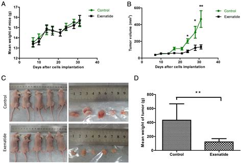 Exenatide Inhibits The Growth Of Endometrial Cancer Ishikawa Xenografts