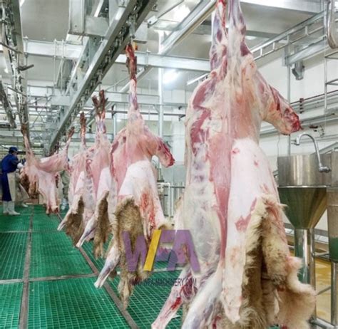 Sheep Lamb Abattoir Automatic Meat Processing Convey Rail Goat