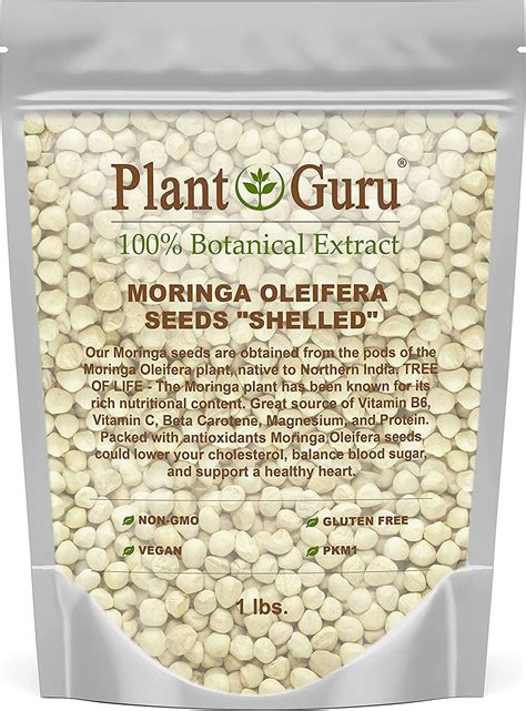 Moringa Seeds Kernel Shelled 16 Oz 1 Lb Clean PKM1 Variety