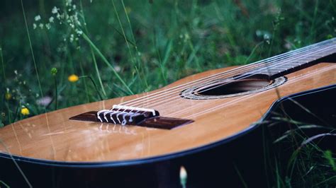 Guitar Nature Summer Free Photo On Pixabay Pixabay