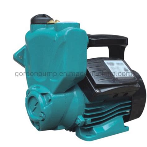 Electric Copper Wire Self Priming Auto Water Pump With Pressure Switch