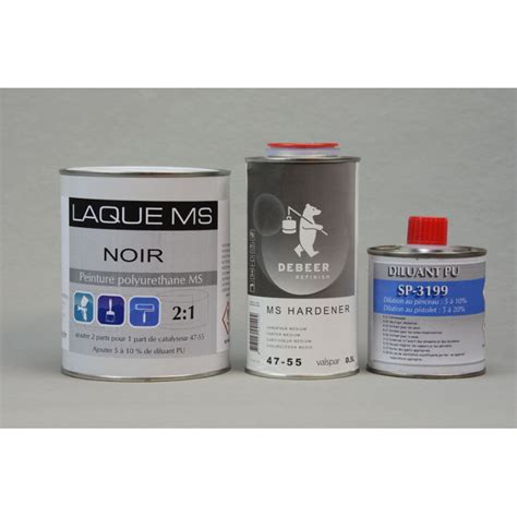 Kit De Peinture Noire Auto Brillant Direct