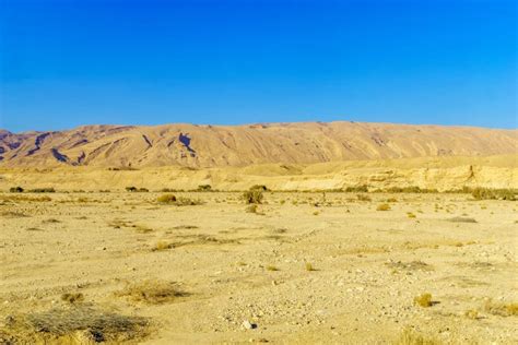 Los Desiertos M S Grandes Del Mundo C Nocelos Con Este Art Culo