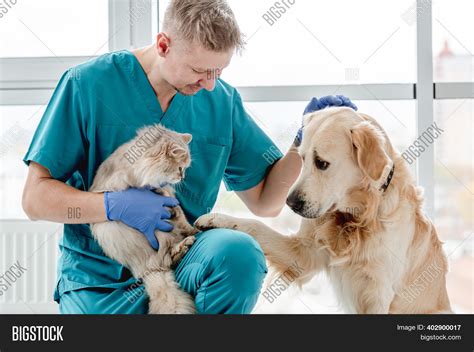 Vet Dog Cat Clinic Image & Photo (Free Trial) | Bigstock