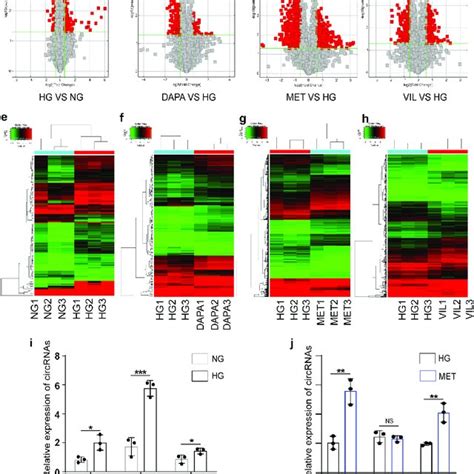 CircRNA And MRNA Expression Profiles In HK 2 Cell Treated With