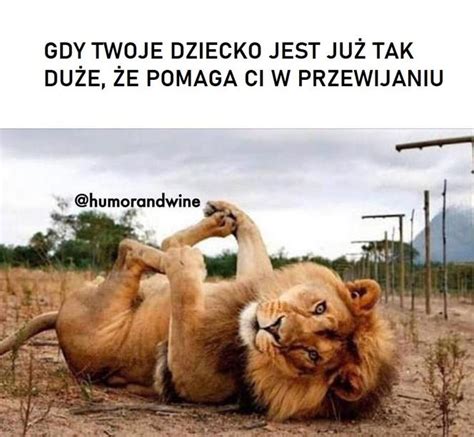 MAMA To brzmi dumnie Dziś ich święto Zobaczcie zabawne MEMY na Dzień