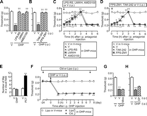 Roles Of Hmgb1 Targeted Receptors And Macrophages Mφ In The