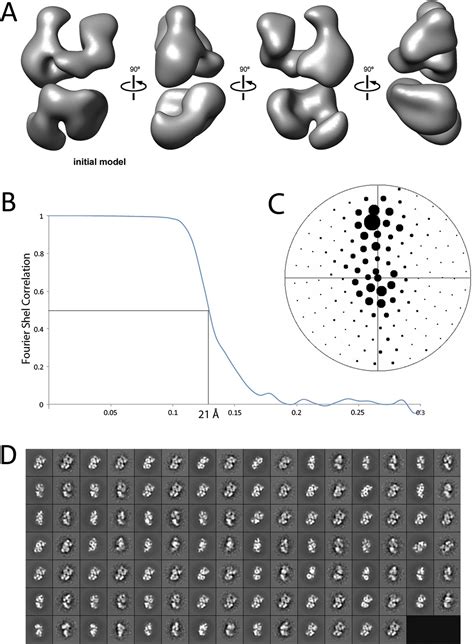 Figures And Data In Molecular Architecture Of Human Polycomb Repressive