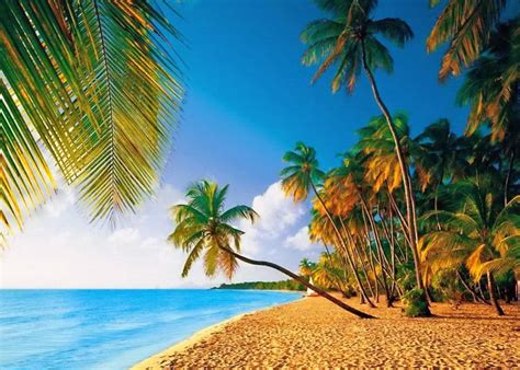 1920x1080px 1080p Free Download Tropical Paradise Pretty Shore