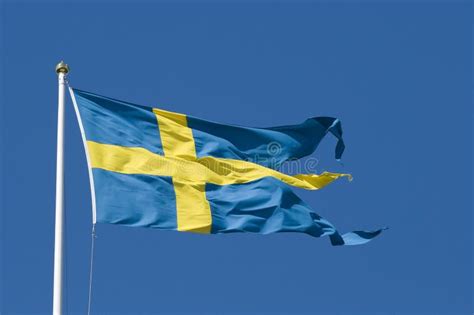 Swedish Military Flag Stock Photo Image Of Waving Wind 27144726