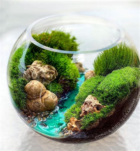 Bagr How To Build A Terrarium Espoma Organic