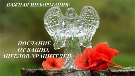 ПОДСКАЗКИ ВАШИХ АНГЕЛОВ-ХРАНИТЕЛЕЙ - ЧТО ВАМ НАДО ЗНАТЬ! - YouTube