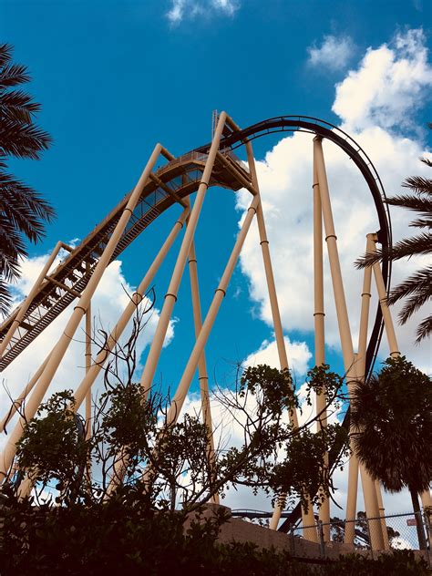 Montu, Busch Gardens Tampa : r/rollercoasters